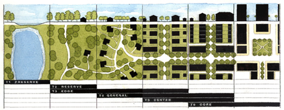 The Transect