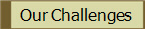 Our Challenges